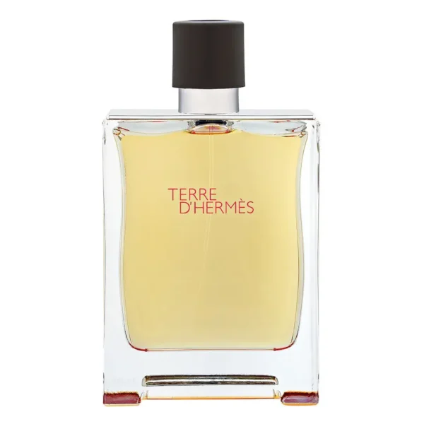 Hermès Terre D’Hermès – 100ml